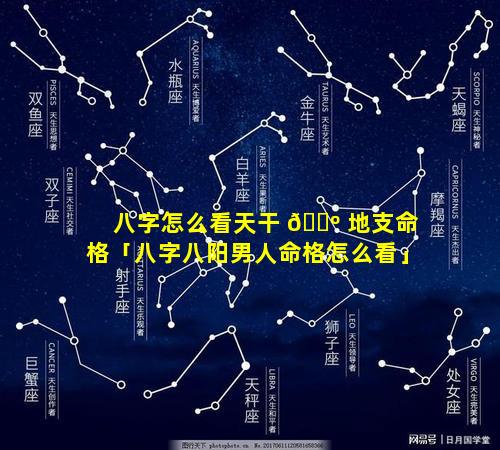 八字怎么看天干 🌺 地支命格「八字八阳男人命格怎么看」